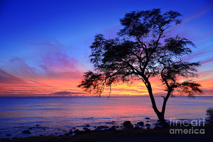 After Sunset at Kahe Point Beach Oahu Photograph by Aloha Art