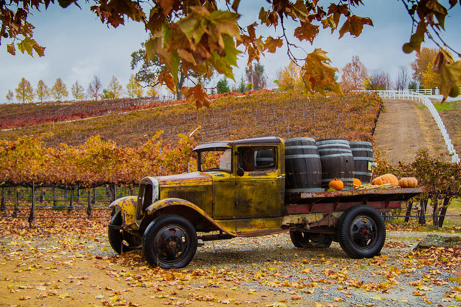 Wine Photograph - After The Harvest by Roger Mullenhour