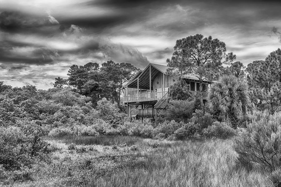 After the Rain - Life in Cedar Key Photograph by Howard Salmon
