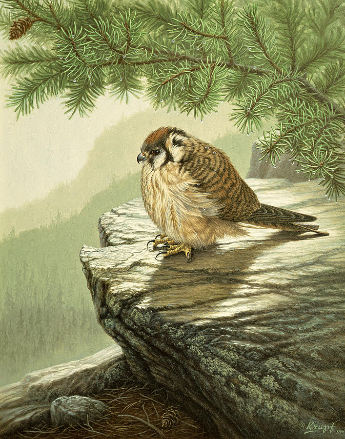 Wildlife Painting - After the Rain by Paul Krapf