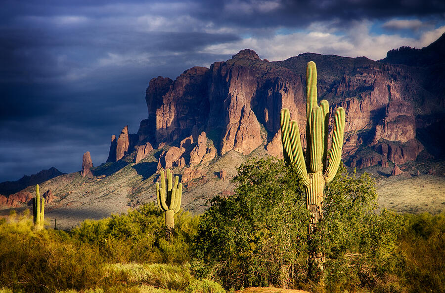 Saguaro Sunset Photograph - After The Rain by Saija Lehtonen Saguaro Sunset Photograph - After The Rain by Saija Lehtonen