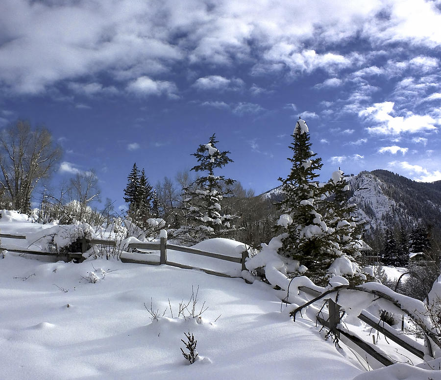 After the Snow Photograph by Kim Hojnacki