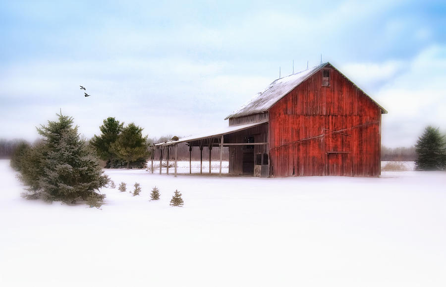 Barn Photograph - After the Snow by Mary Timman