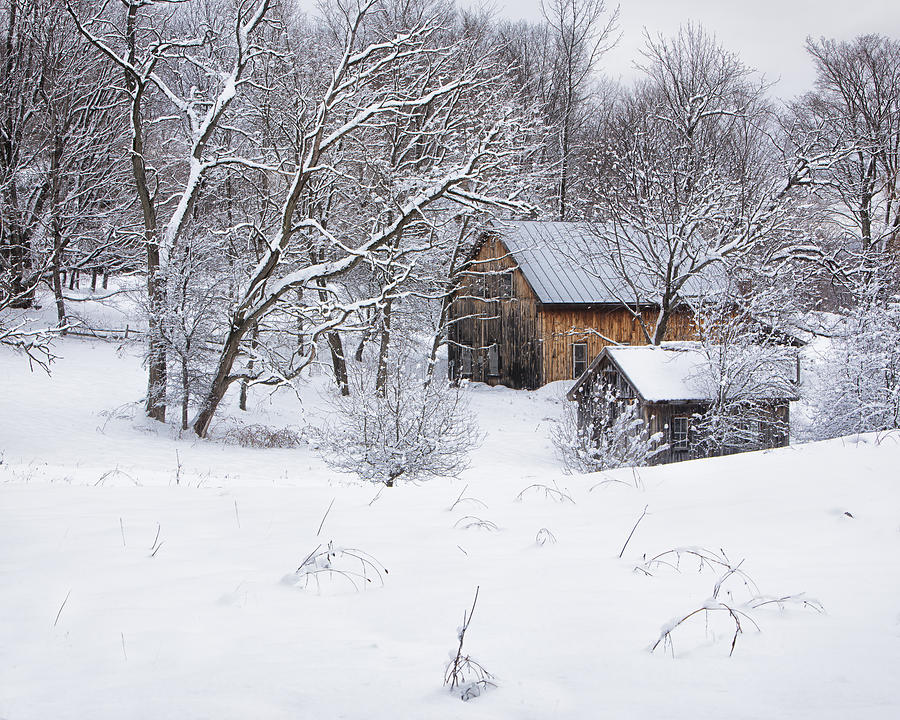 Vermont Winter Scene Photograph by John Vose
