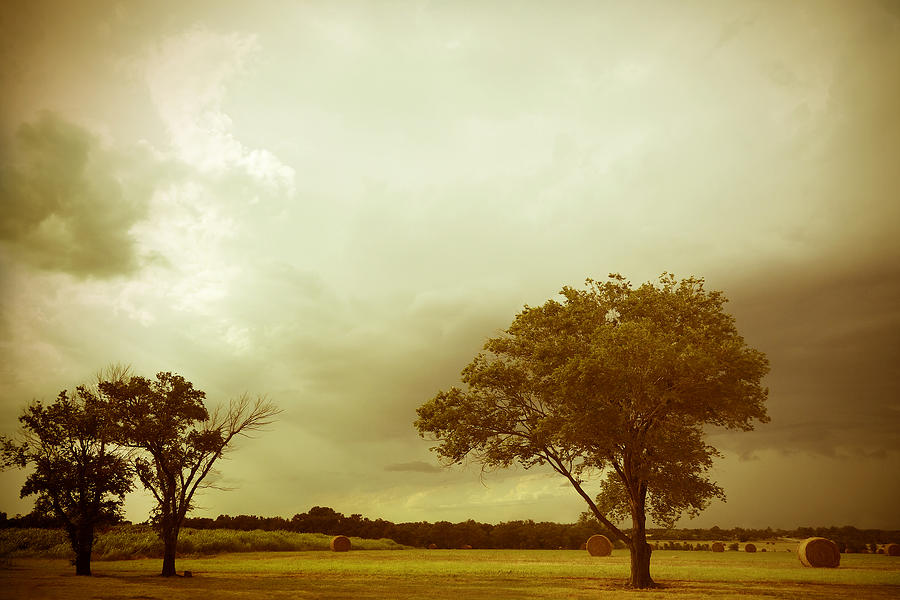After The Storm - landscape - photography Photograph by Ann Powell