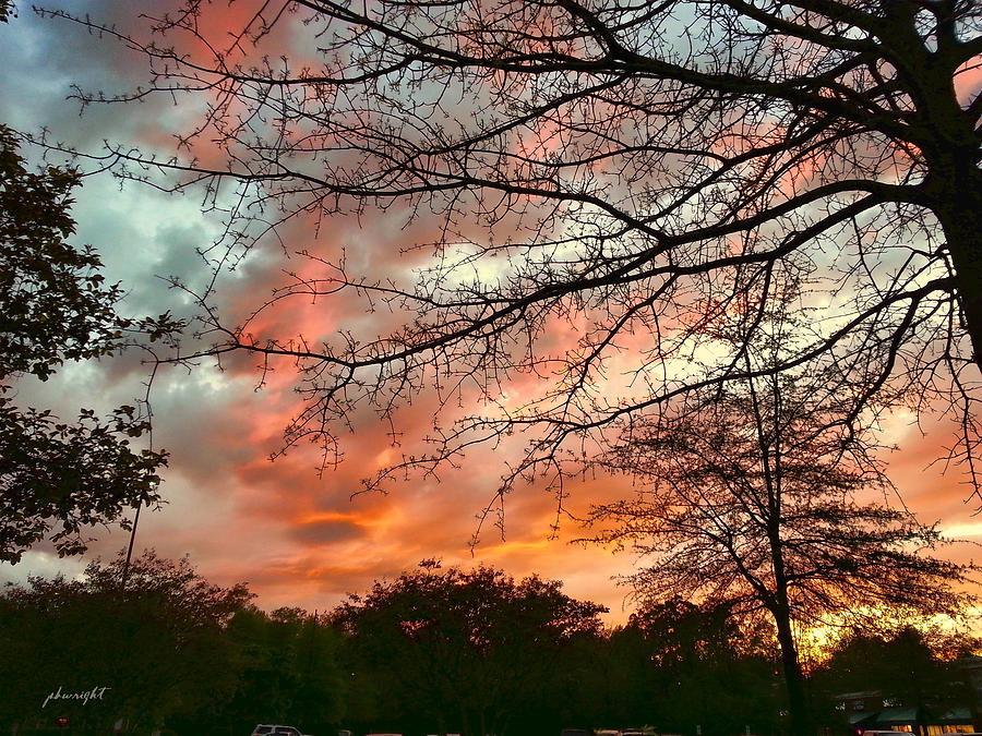 After The Storm Passed Photograph By Paulette B Wright