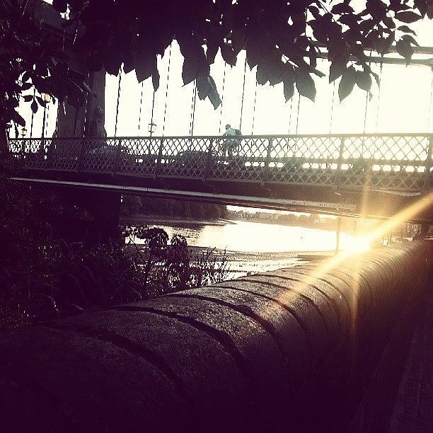 Hammersmith Photograph - #after Work #thames #hammersmith by Tanya Alden