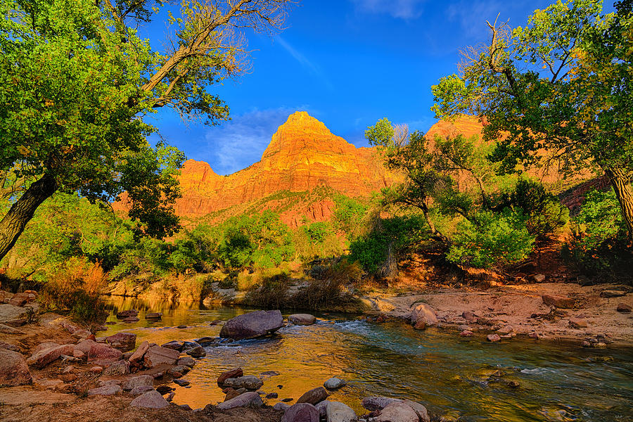 Afternoon Along the Virgin River Photograph by Greg Norrell
