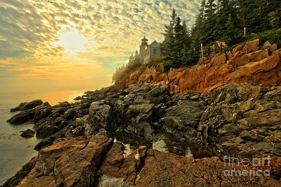 Afternoon At Bass Harbor Photograph by Adam Jewell