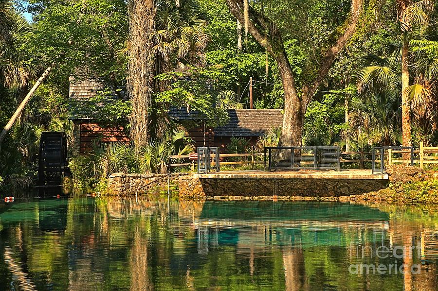 Afternoon At Juniper Springs Photograph by Adam Jewell