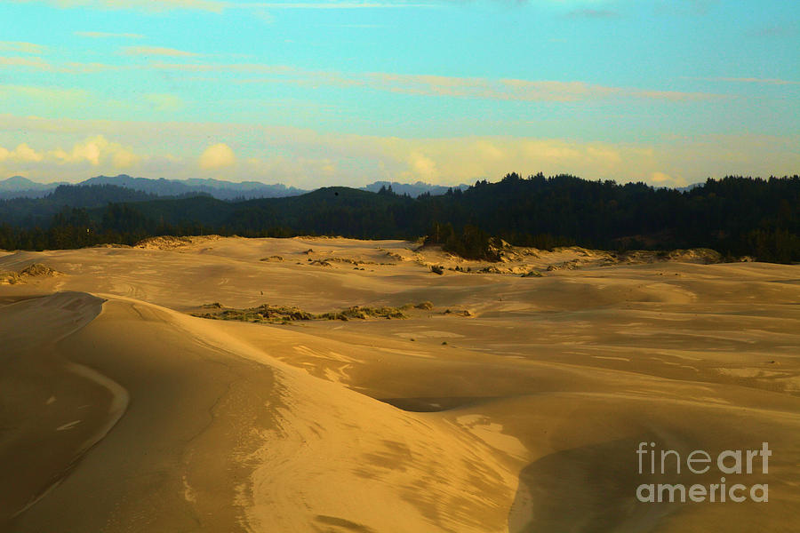 Afternoon At Oregon Dunes Photograph by Adam Jewell