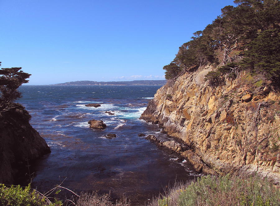 Afternoon At Point Lobos Photograph by Derek Dean