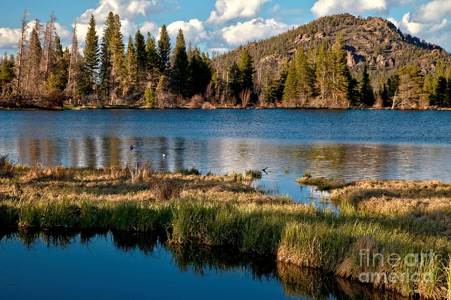 Afternoon At Sprague Lake Photograph by Adam Jewell