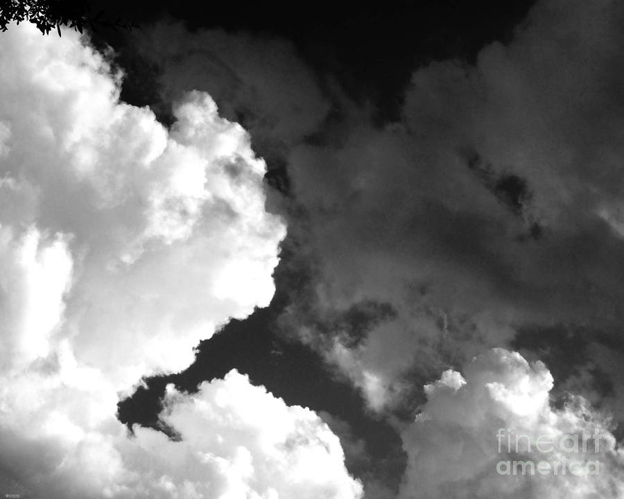Afternoon Clouds Photograph by Lizi Beard-Ward