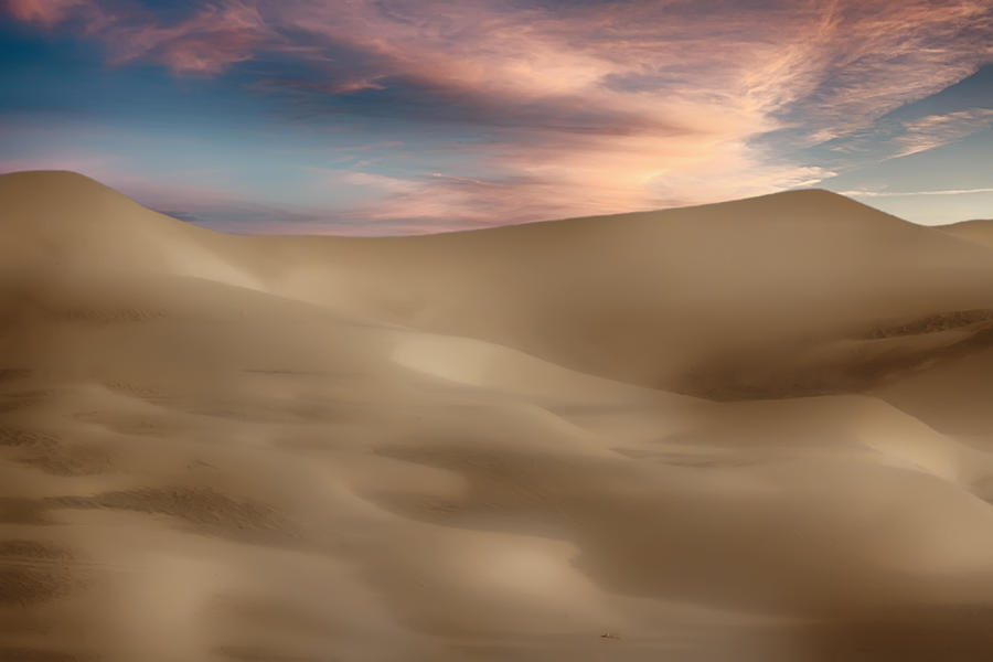 Afternoon Dunes Photograph by John Haldane