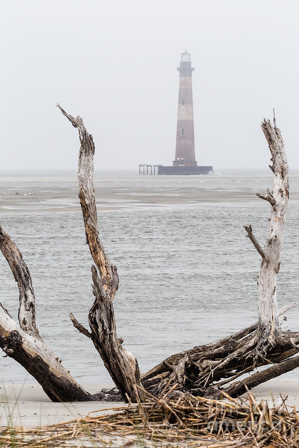 Afternoon Fog over Morris Island Lighthouse Charleston South Carolina Photograph by Dawna Moore Photography