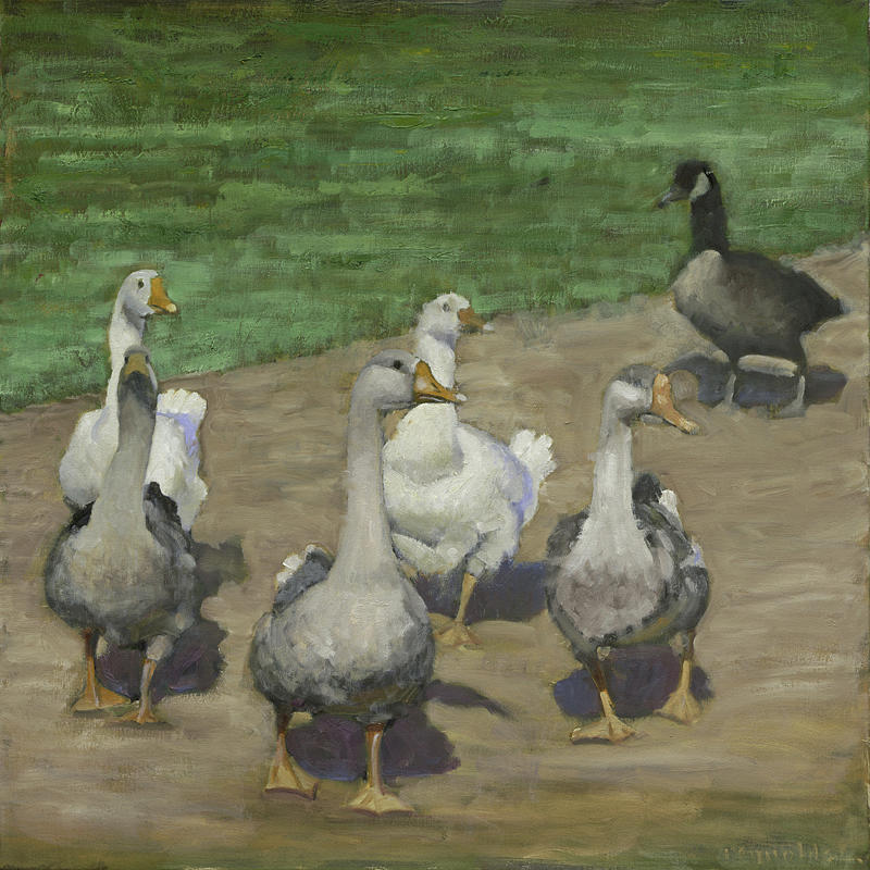 Afternoon Geese Walk Painting by John Reynolds