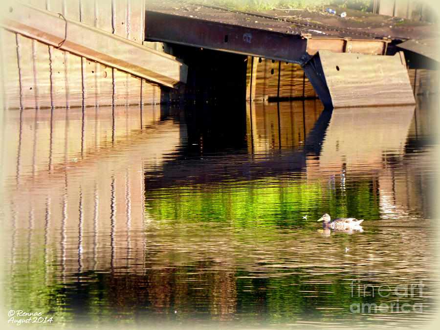Water Photograph - Afternoon Illusion by Rennae Christman Water Photograph - Afternoon Illusion by Rennae Christman