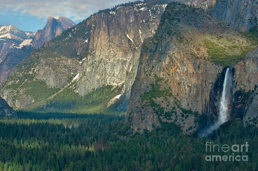 Afternoon in Yosemite Photograph by Sandra Bronstein