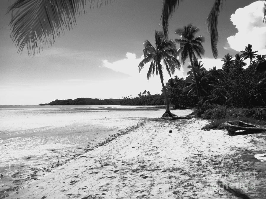 Afternoon on Fiji Beach Photograph by Pat Kimbrough - Fine Art America