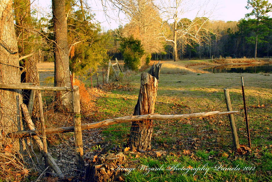Afternoon Glow And The Broken Fence Photograph by Pamela Smale Williams