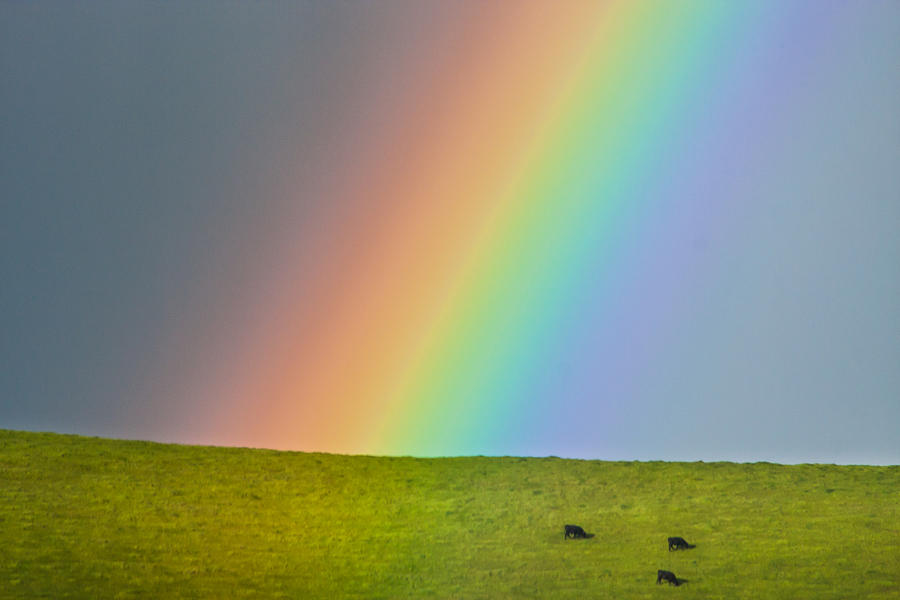 Afternoon  Rainbow Photograph by Marc Crumpler