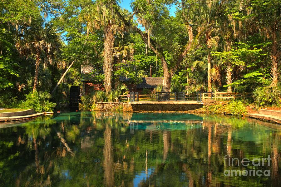 Afternoon Reflections At Juniper Springs Photograph by Adam Jewell