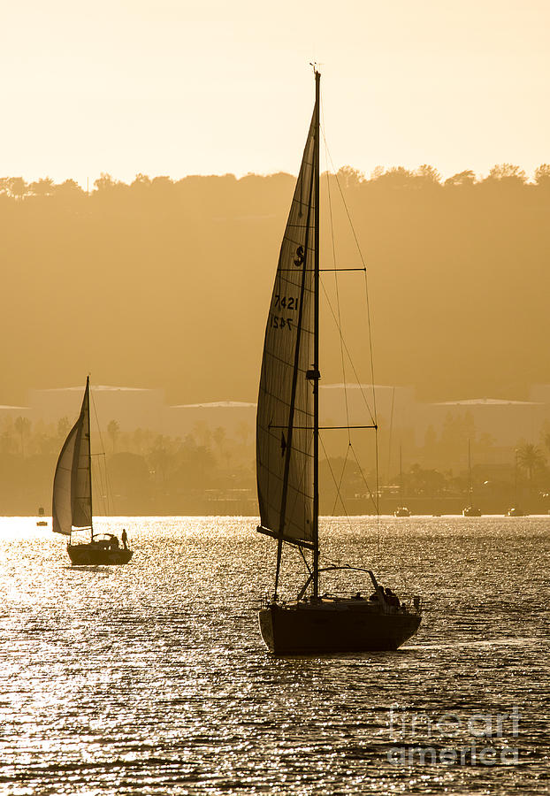 San Diego Harbor Photograph - Afternoon Sails A2892 by Stephen Parker