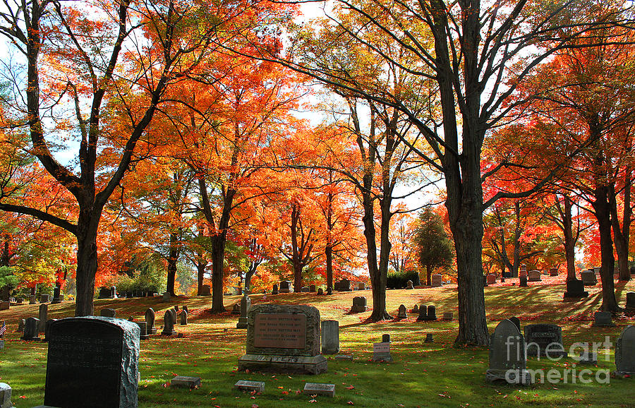 Afternoon Sun in the Cemetery Photograph by Rita Brown