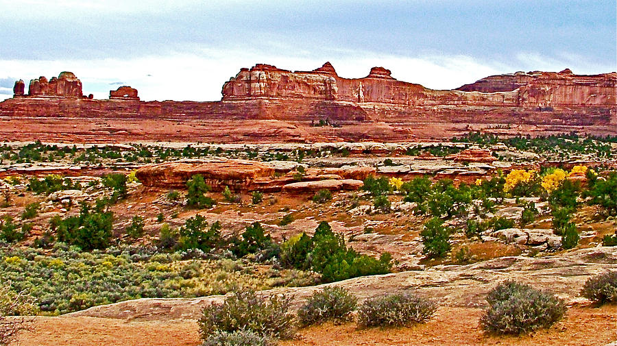 Afternoon View of Wooden Shoe Overlook in Needles District of  Canyonlands National Park-Utah  Photograph by Ruth Hager