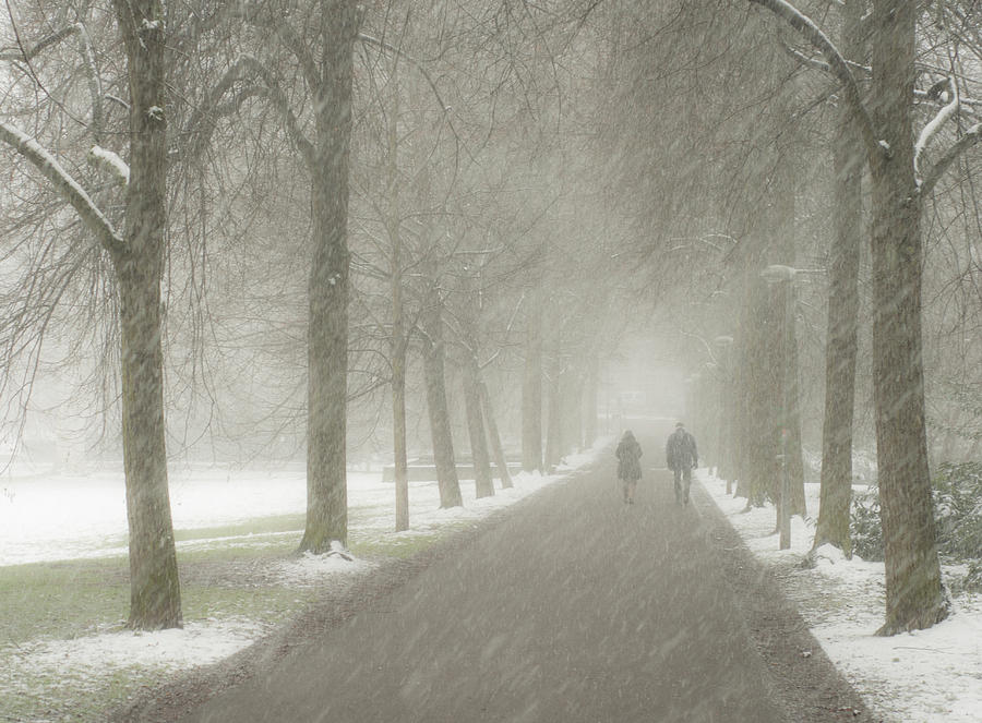 Afternoon Winter Stroll Photograph by Miguel Winterpacht