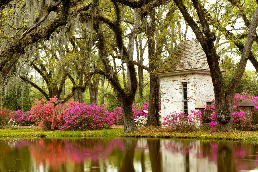 Afton Villa Gardens Pond Photograph By Susie Hoffpauir