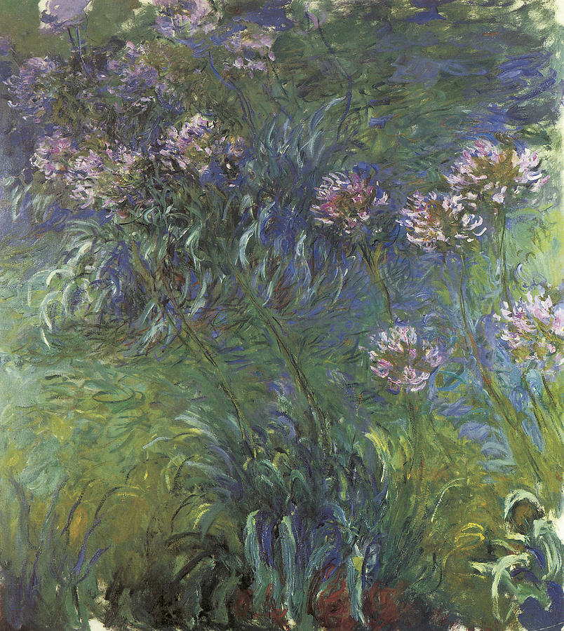 Claude Monet Painting - Agapanthus by Claude Monet