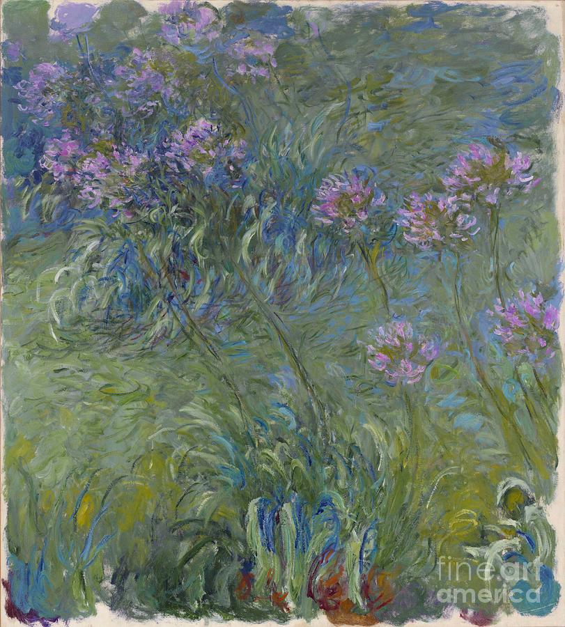 Claude Monet Painting - Agapanthus Flowers 1914-17 by Claude Monet