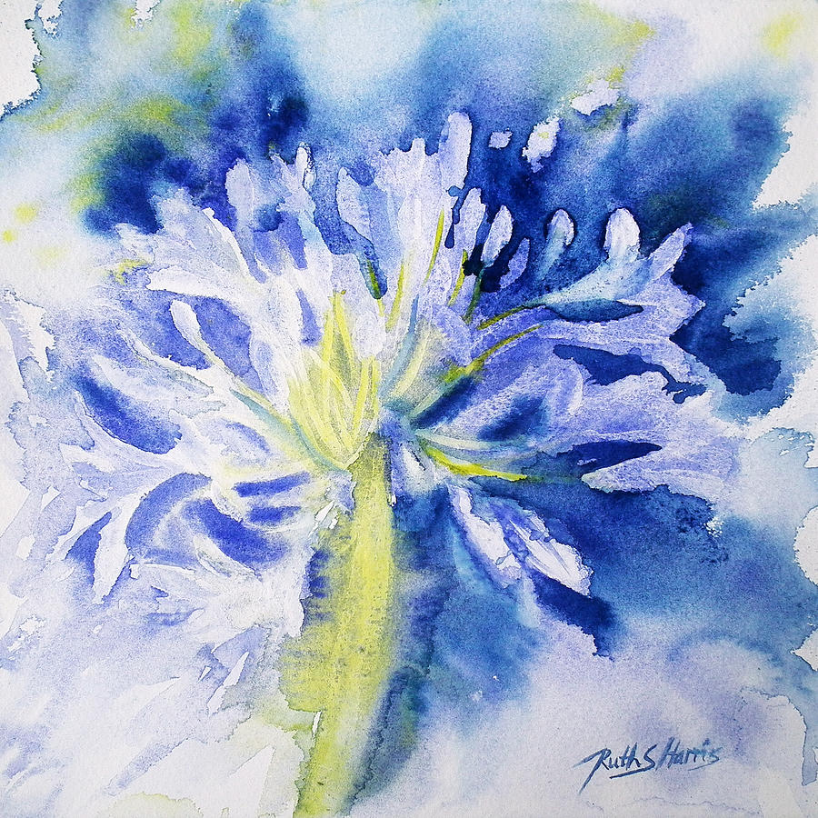 Summer Painting - Agapanthus by Ruth Harris