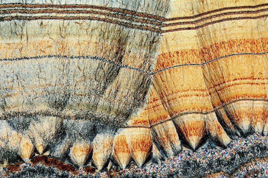 Mineral Photograph - Agate. Polarised Light Micrograph by Antonio Romero
