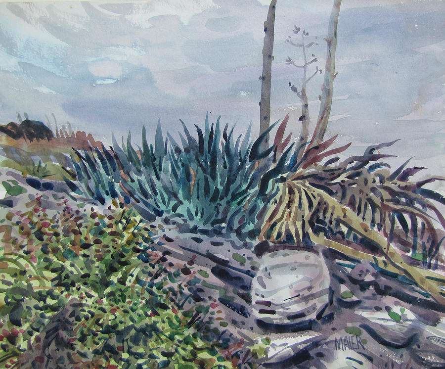 Agave Painting - Agave by Donald Maier