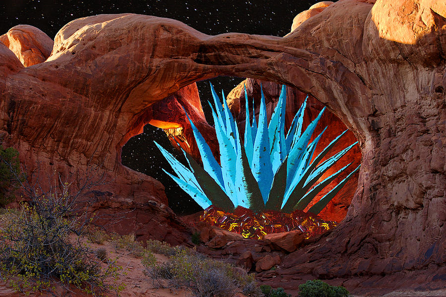 Agave in Arch Painting by Greg Wells