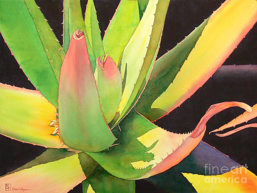 Agave Painting by Robert Hooper