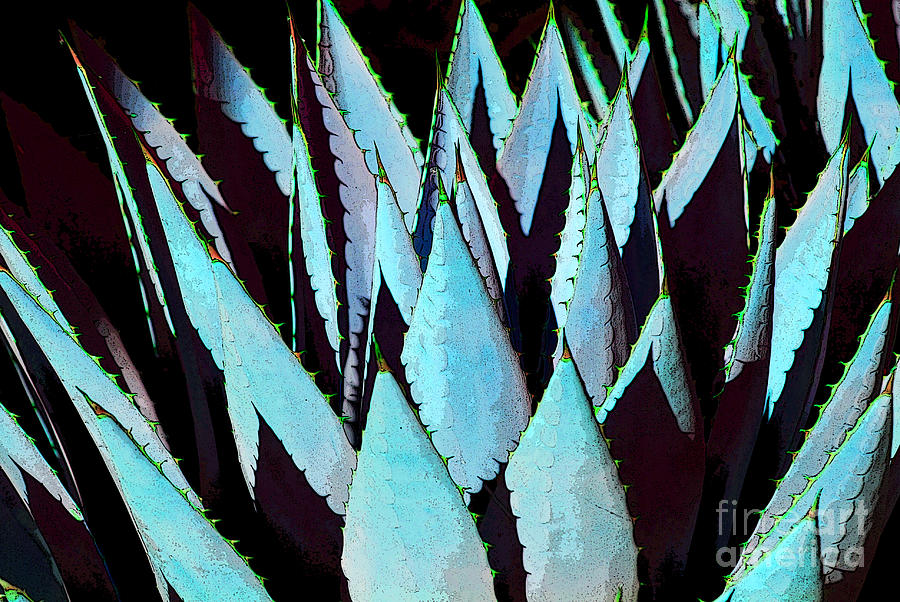 Agave Turquoise Grey by Victoria Page Agave Turquoise Grey by Victoria Page