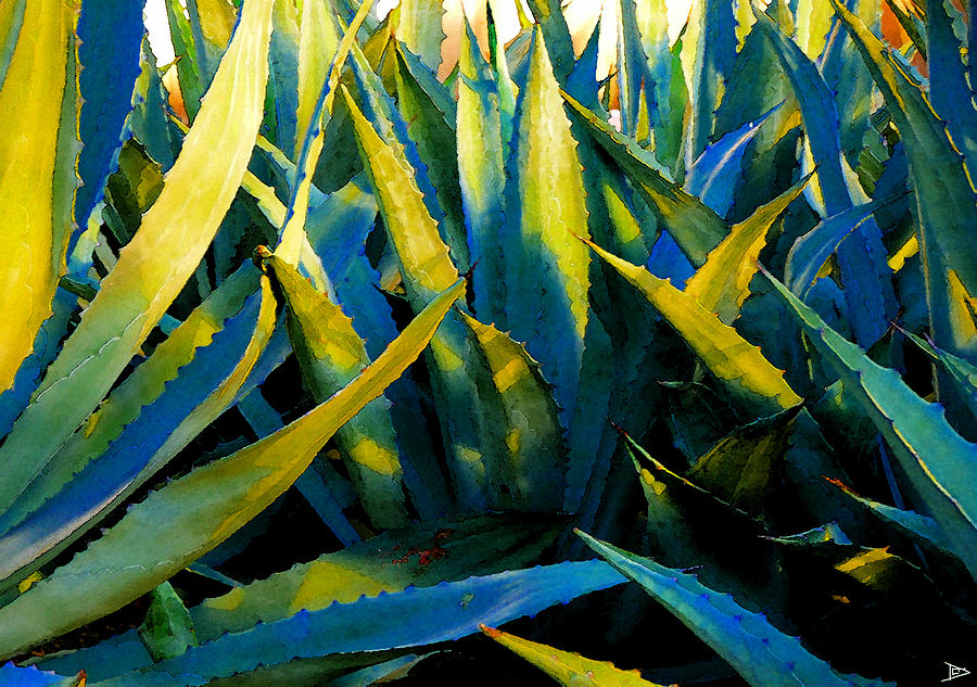 Agave Painting - Agaves by David Lee Thompson