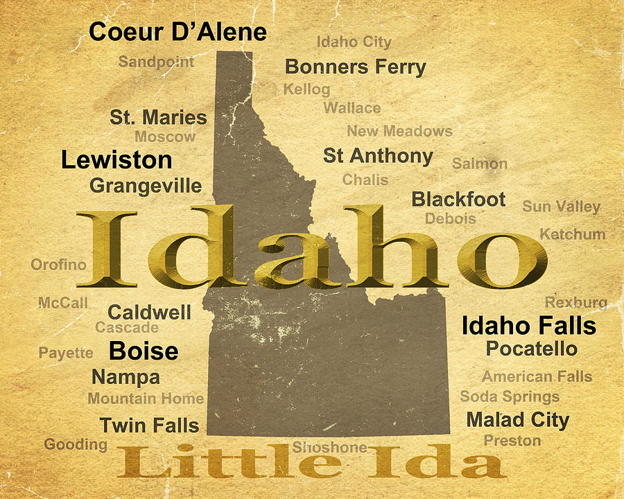Aged Idaho State Pride Map Silhouette  Photograph by Keith Webber Jr