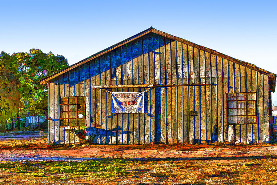Aged Metal Shed Cartoon Photograph by Linda Phelps