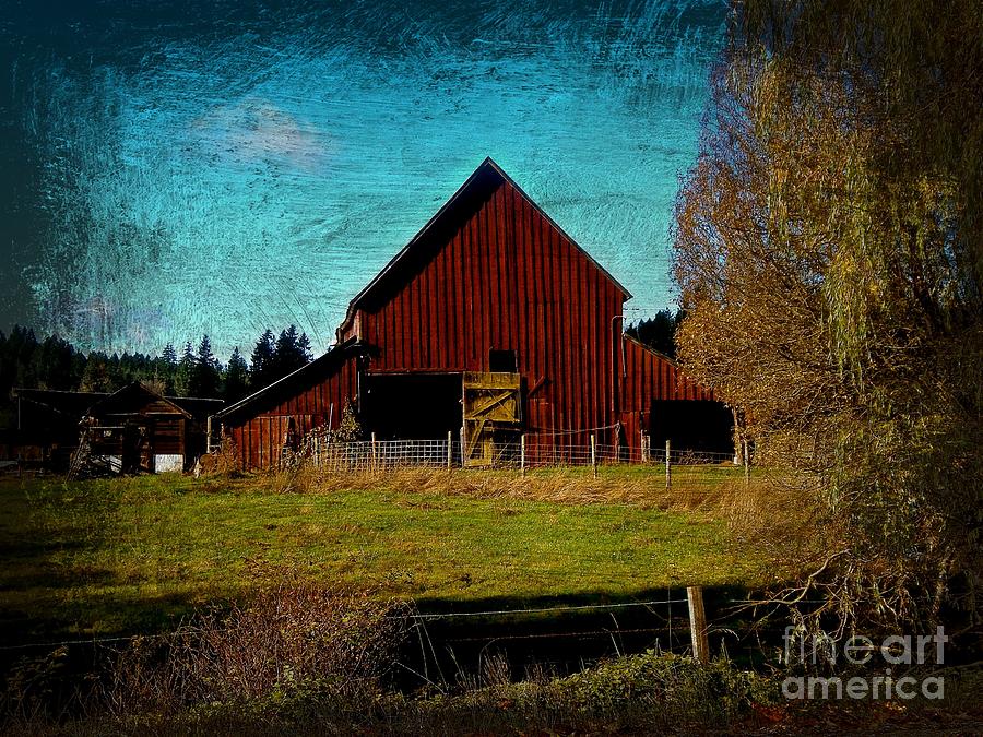 Nature Photograph - Aged Red Barn by Lisa  Telquist