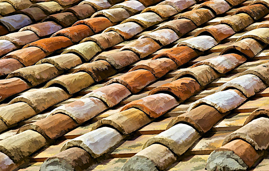 Aged Terracotta Roof Tiles Photograph by David Letts | Fine Art America