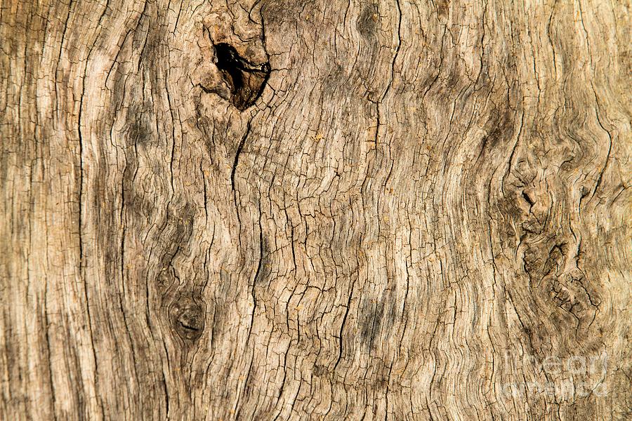 Aged Wood Horizontal Photograph by John Harmon