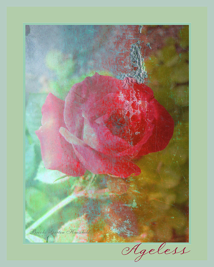 Ageless Beauty Rose - Floral Photographic Art - Manipulated Photography - Roses Photograph by Brooks Garten Hauschild