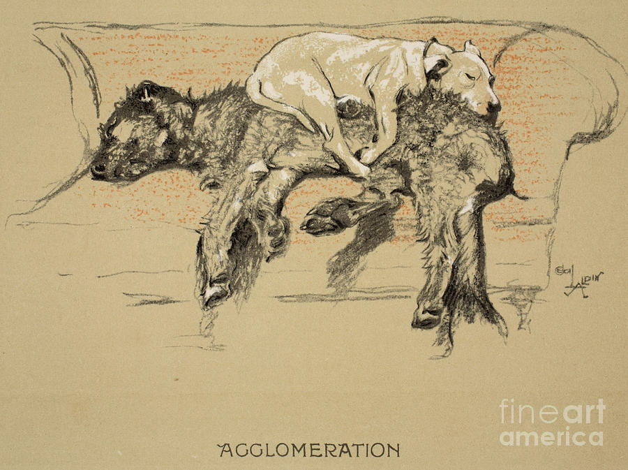 Dog Painting - Agglomeration by Cecil Charles Windsor Aldin