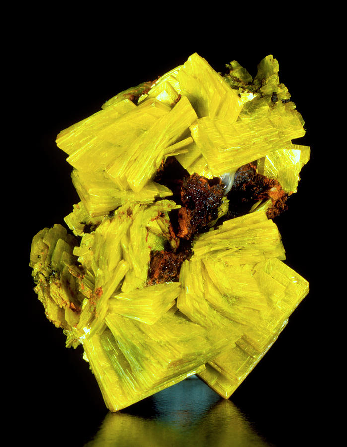 Aggregate Of Yellow Autunite Crystals Photograph by Roberto De Gugliemo ...