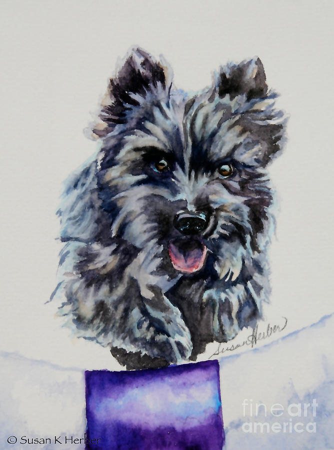 Agile Cairn Painting by Susan Herber - Pixels